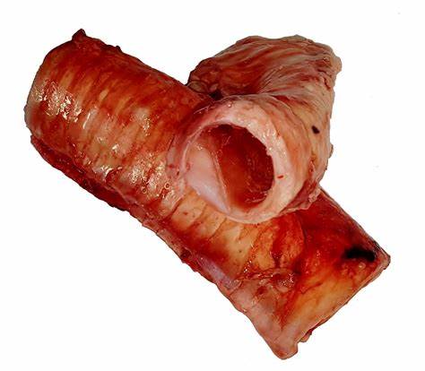 Beef Trachea - 2 Per Pack
